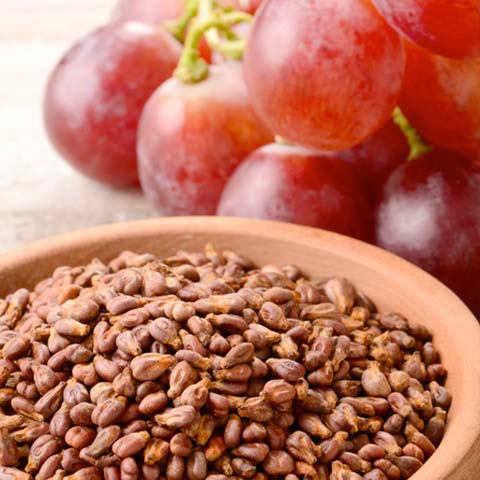 Grape Seed Extract ingredient